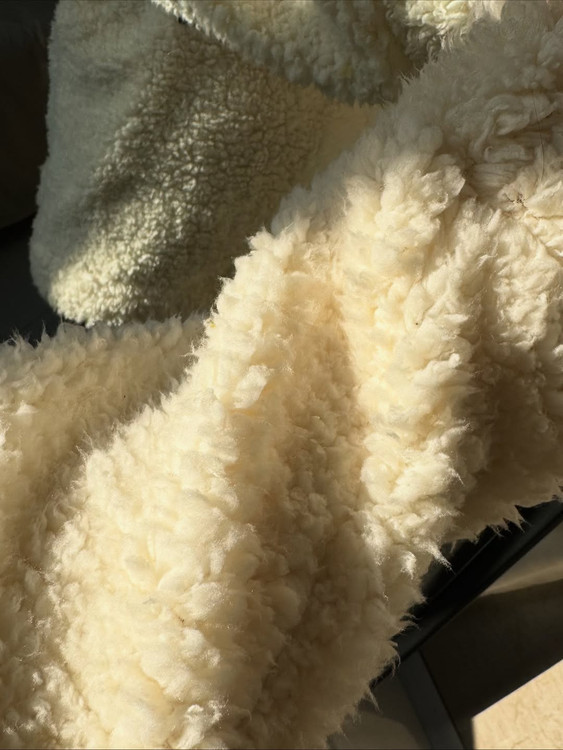 هودی کلاهدار ببعی