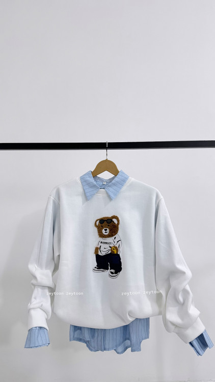 دورس داخل کرکی تدی